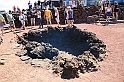 Kanary_2010 160